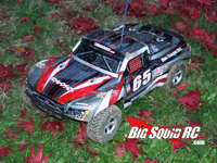 RC Car Fan Picture