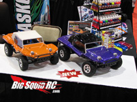 parma slash dune buggy