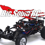 Losi Mini Desert  Buggy