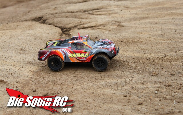 Animus shop rc truck