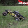 Losi XXX-SCB