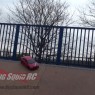 speed passion rs1