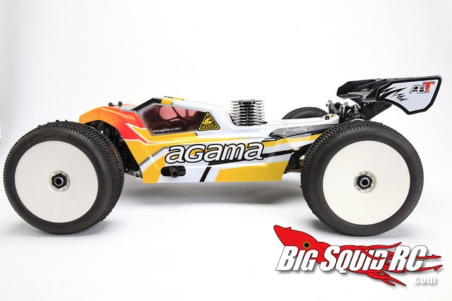 agama truggy