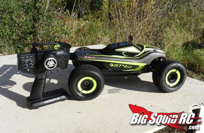 Thunder discount tiger truggy