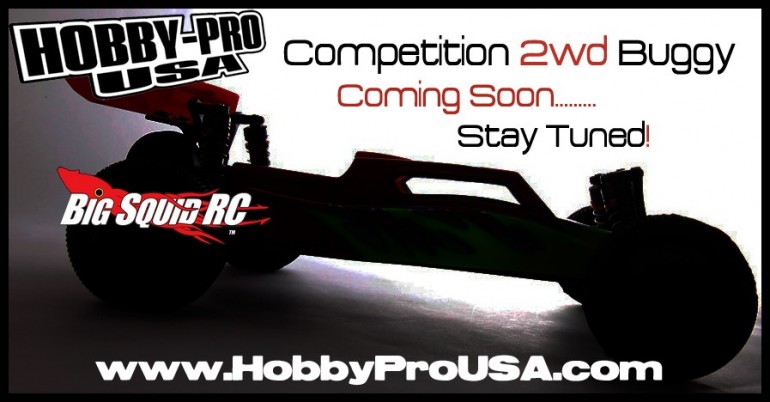 Hobby Pro USA 10th scale buggy