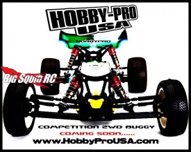 Hobby Pro USA 2wd 10th scale buggy