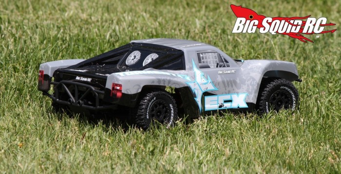 ecx torment body