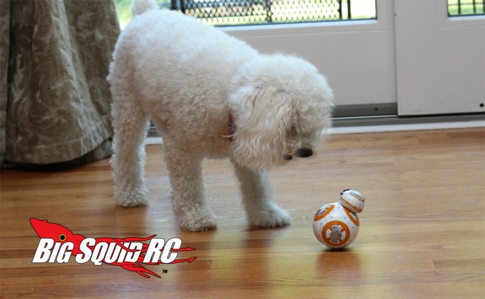 bb_8_review_05