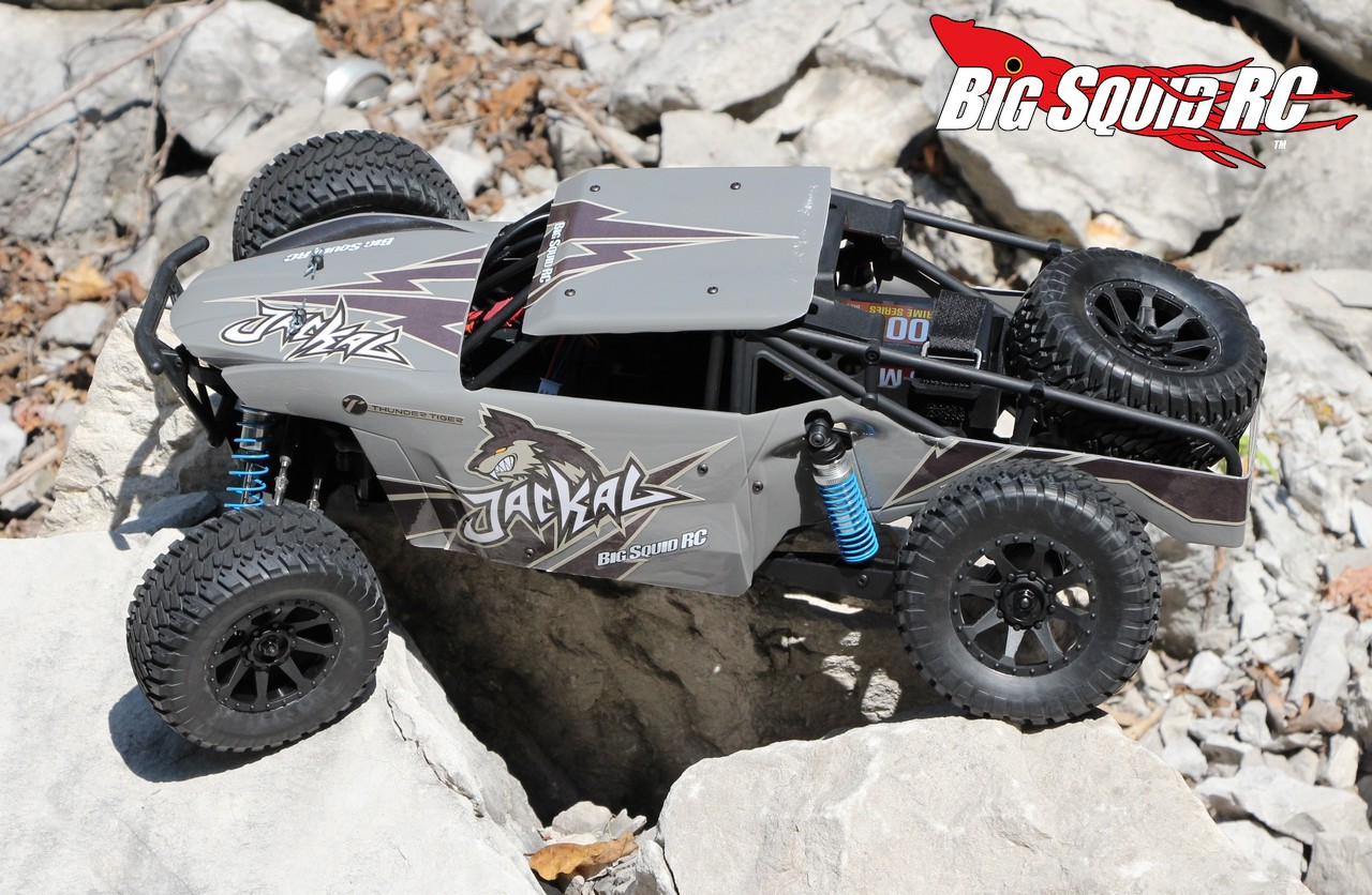 jackal rc desert buggy