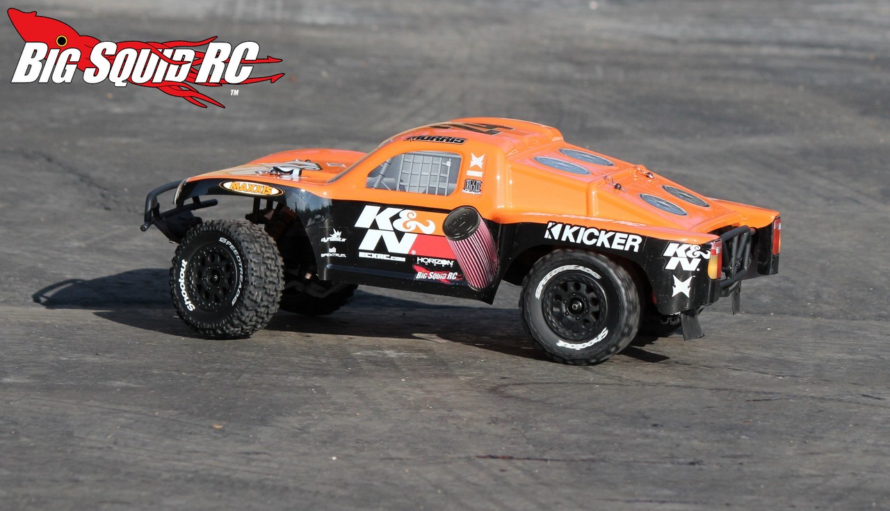ecx torment bodies ecx torment bodies