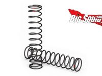 Traxxas X-Maxx Springs