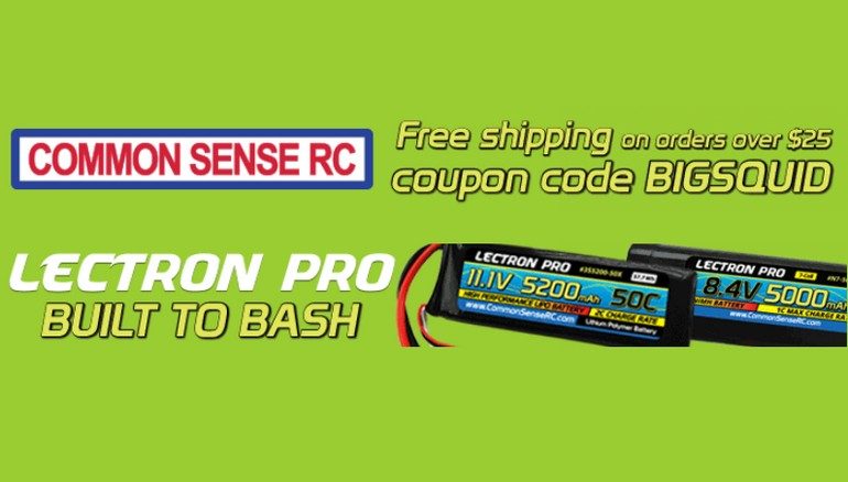 Free Shipping Common Sense RC