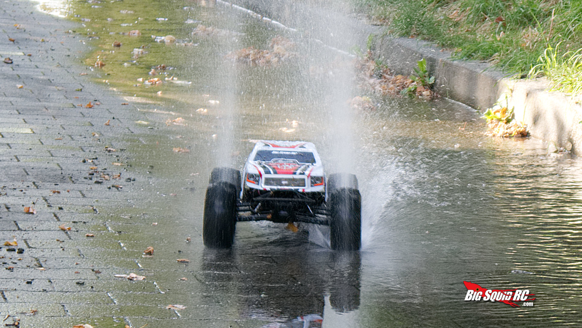 monster jam losi