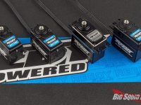 Reedy Brushless Servos