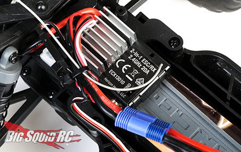 amp crush ecx