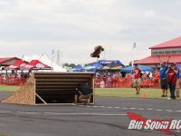 Horizon Hobby RC Fest 2019 Long Jump Speed Run Sumo