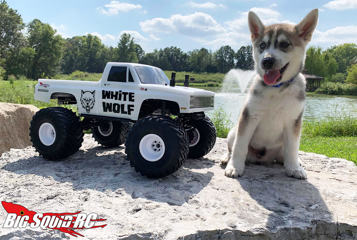 trx4 monster truck