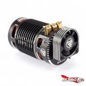 Ruddog RP691 Brushless Motor - Rear