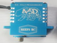 REEF's RC ASD Crawlers RAW 500 Servo