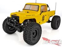 Element RC Enduro Ecto RTR Trail Truck