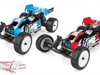 Team Associated RB10 Ready-to-Run Race Buggy