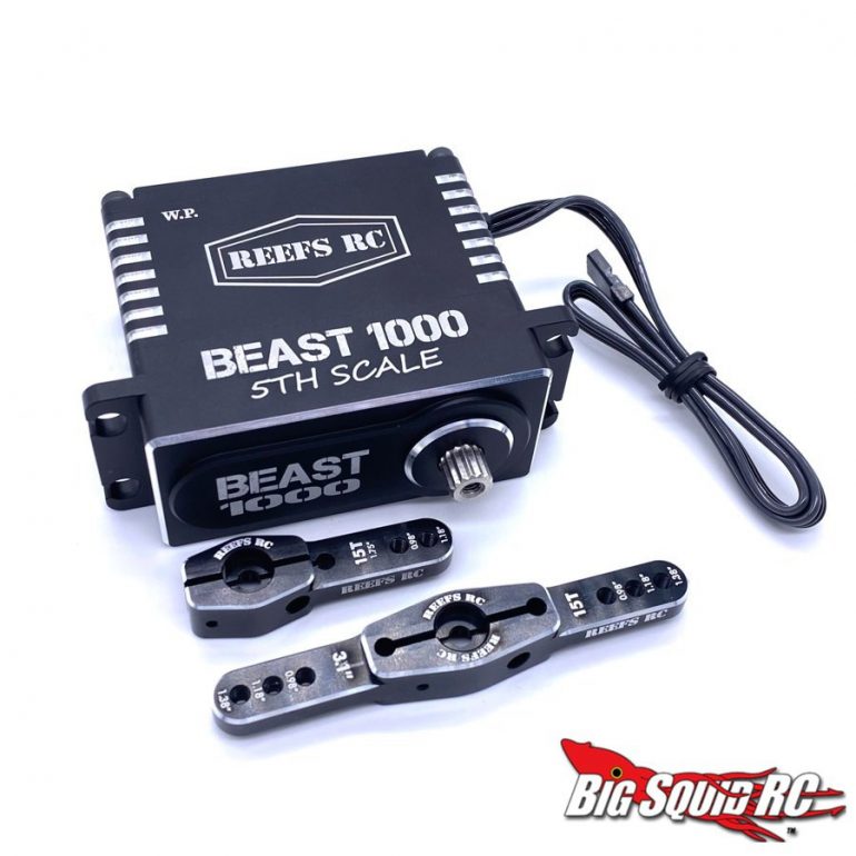 REEF's RC Beast 1000 5th Scale Steering Servo