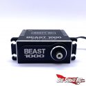 REEF's RC Beast 1000 5th Scale Steering Servo - Front
