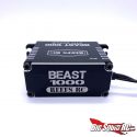 REEF's RC Beast 1000 5th Scale Steering Servo - Rear