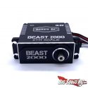 REEF's RC Beast 2000 5th Scale Steering Servo - Front