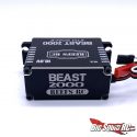 REEF's RC Beast 2000 5th Scale Steering Servo - Rear