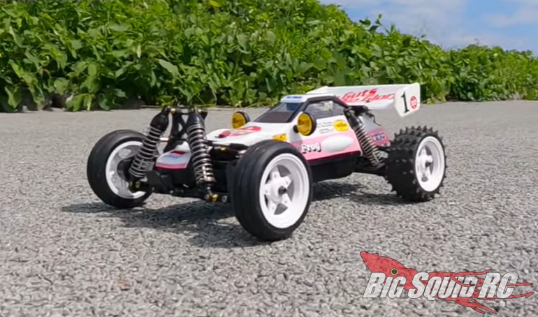 The frog shop remote control car