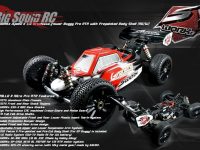 SWORKz 8th Apollo II Pro RTR Buggy