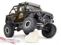 FTX RC 10th FURY 2.0 RTR Scale Crawler