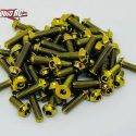 Klinik RC Titanium Dress-Up Screw Set for Losi Promoto MX