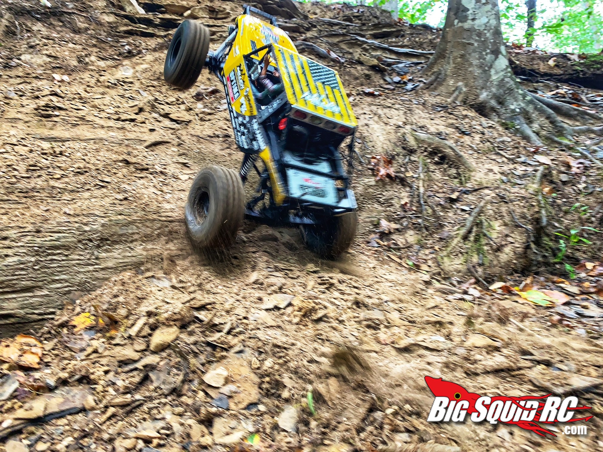 Best rc rock racer on sale