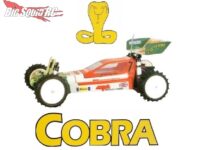 Stack RC 1/10 Cobra 2WD Vintage Buggy Kit