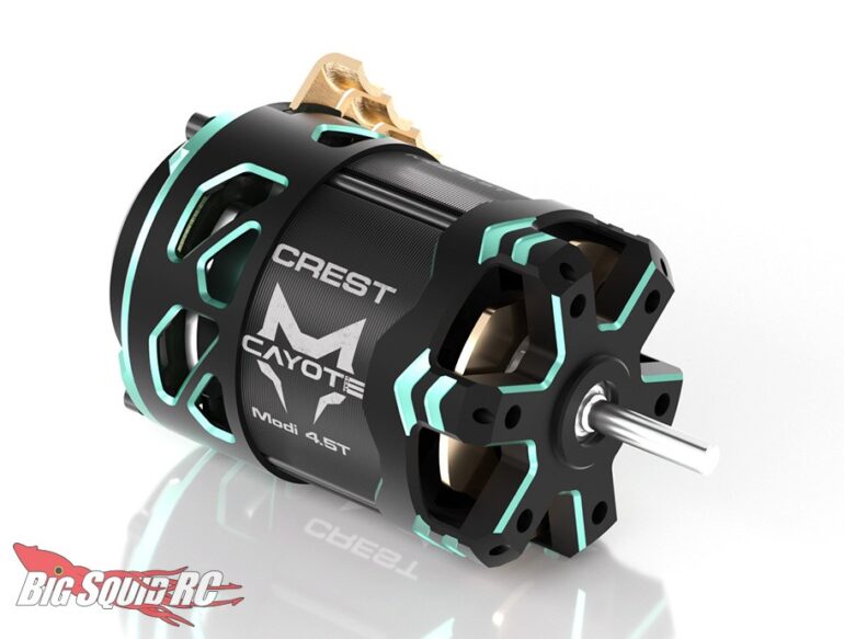 Team Cayote Crest Modi Brushless Motors