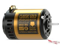 G-Force Hobby Classic Gold Brushless Motor